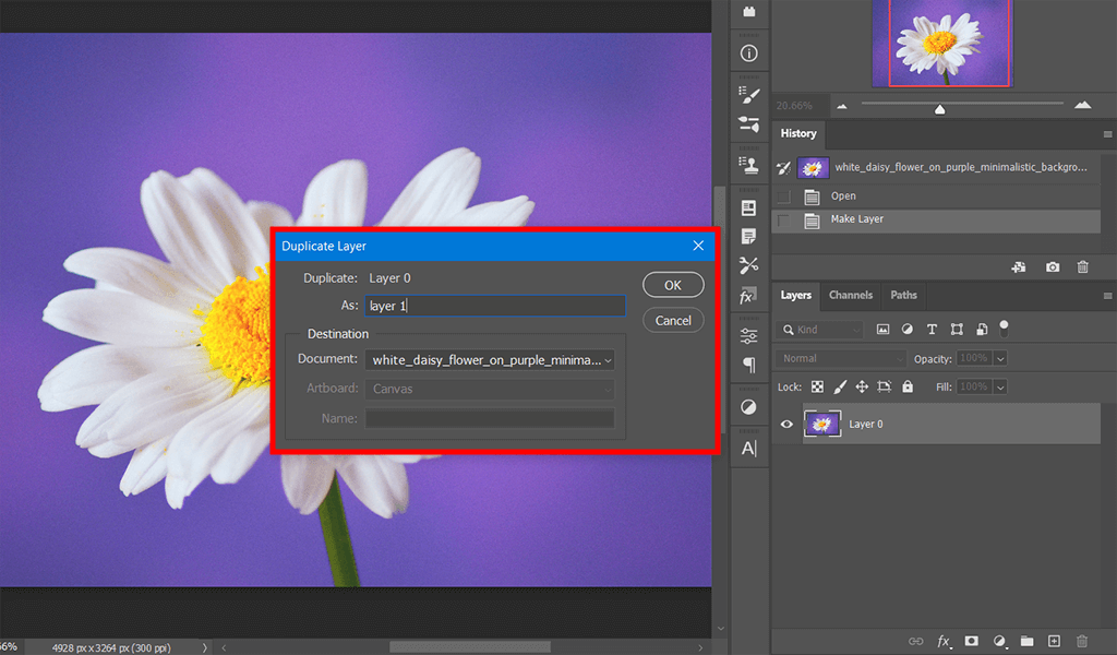 duplicate the image to make transparent background in photoshop