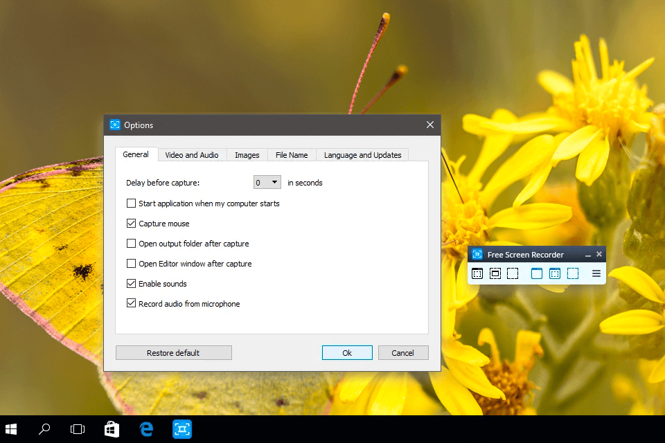 dvdvideosoft screen recording software interface