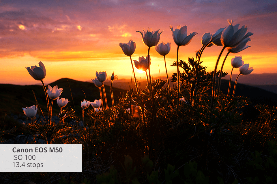 dynamic range camera canon eos m50