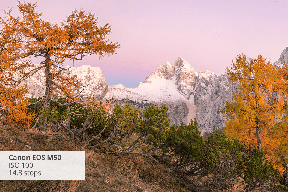 dynamic range camera nikon d850