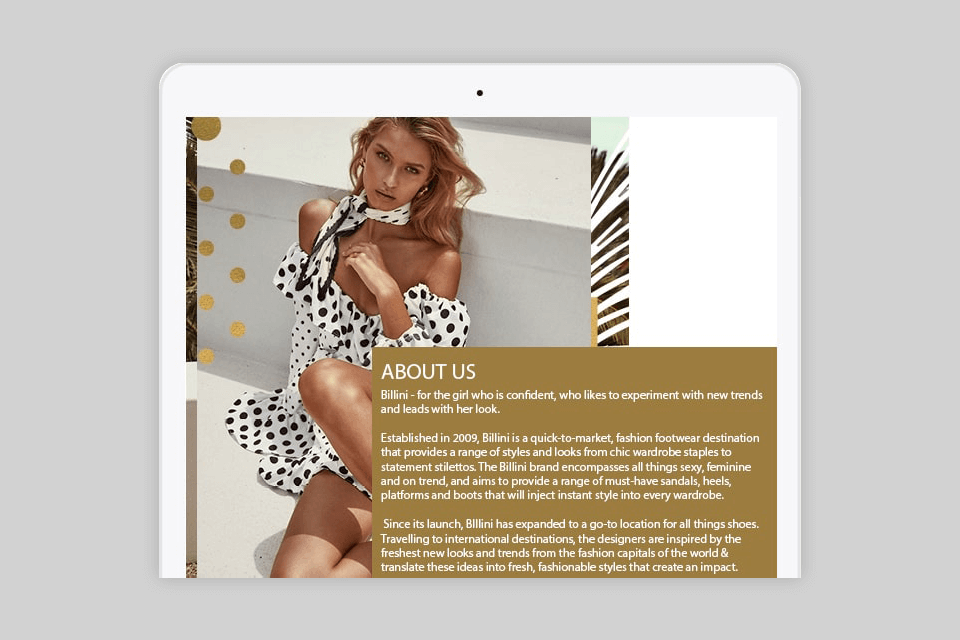 ebizneeds agency web development