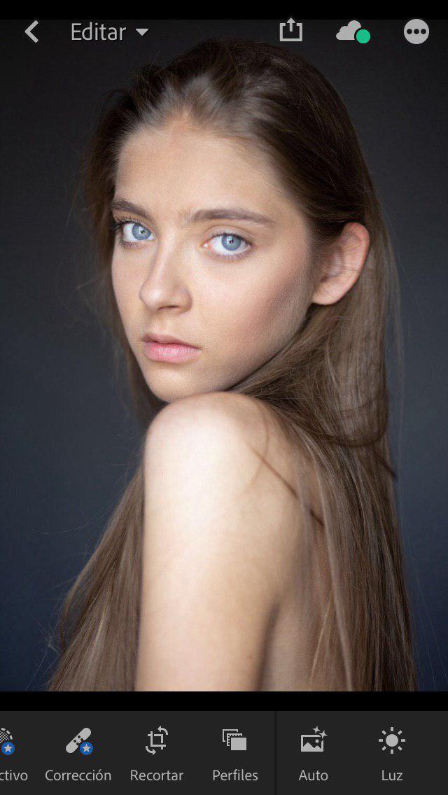 edite una foto lightroom cc verisón móvil