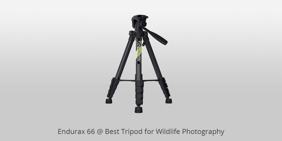 endurax 66 tripod for wildlife photography