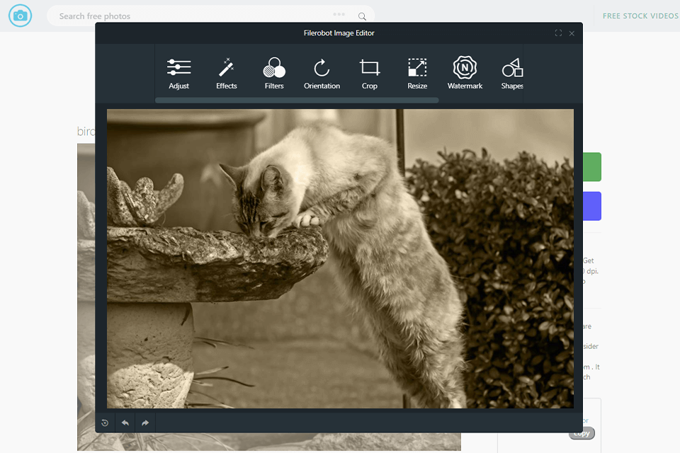 enhance photo with photostockeditor