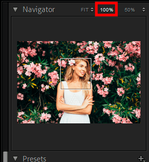 تكبير الصورة لإزالة الضوضاء في lightroom