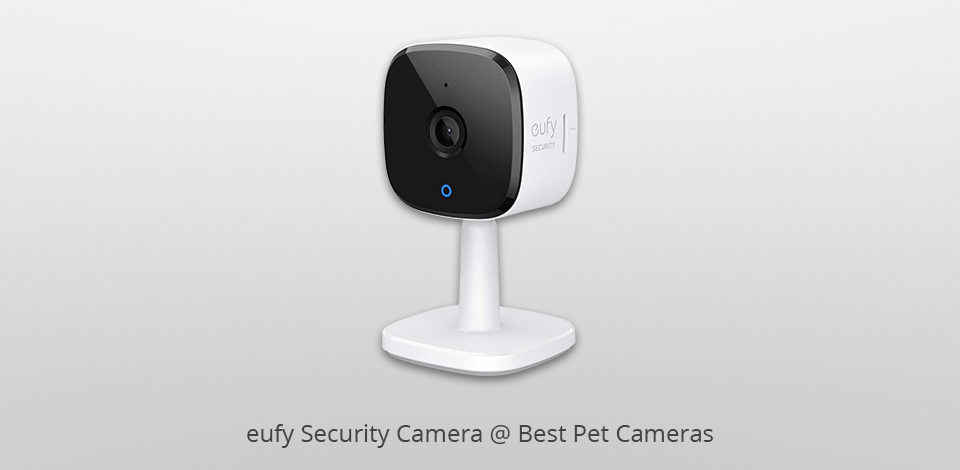 eufy security  pet camera
