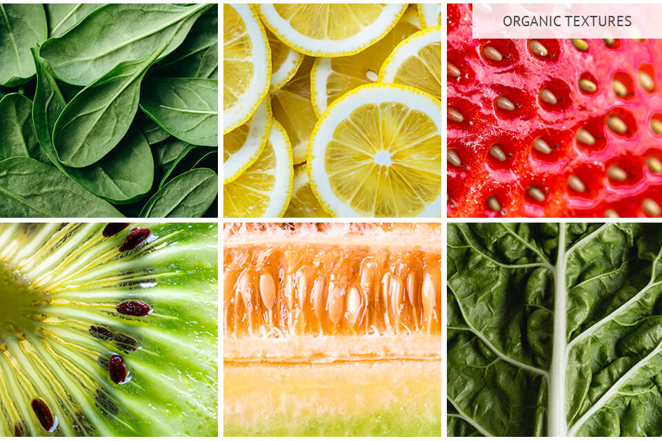 examples of texture in photography organic