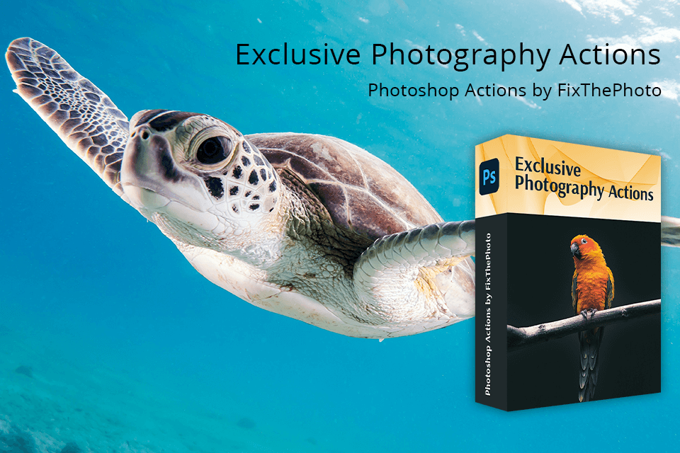 fixthephoto actions collection