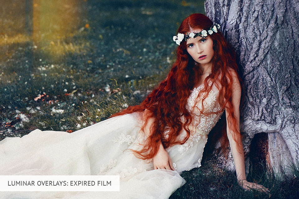 luminar marketplace expired film