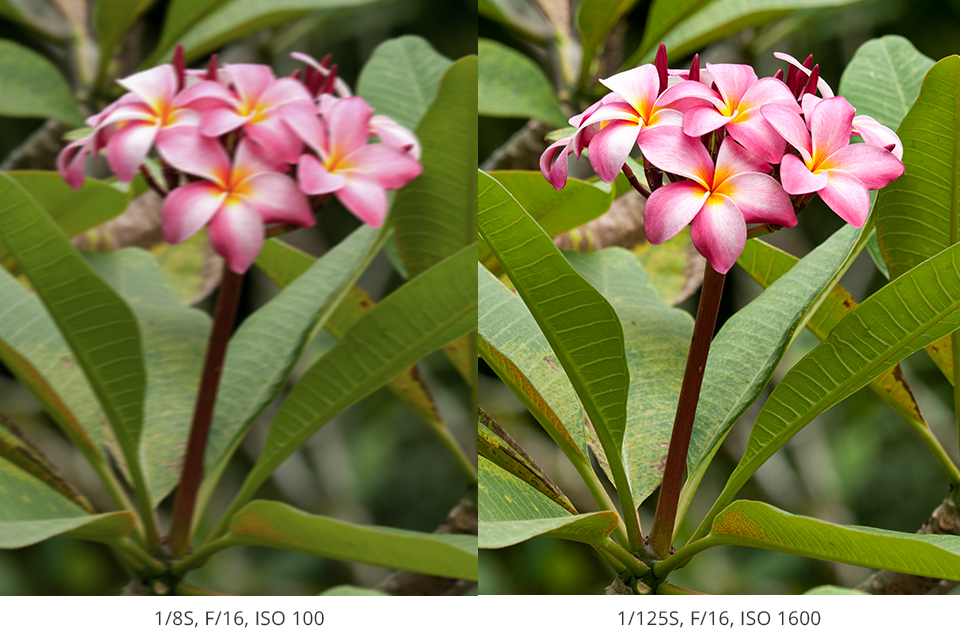 exposure triangle compensation