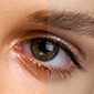 eye bundle retouch4me photoshop panel