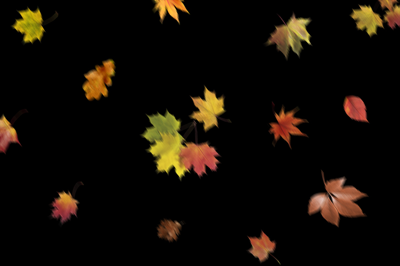 leaf overlay for photoshop download free