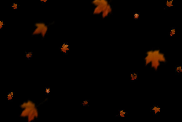 Free Photoshop Leaves Overlay