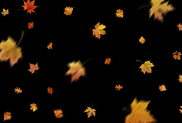 Autumn PS Overlays Photo Overlays PNG Falling Leaves Autumn Leaves Photoshop Overlays - Autumn Background