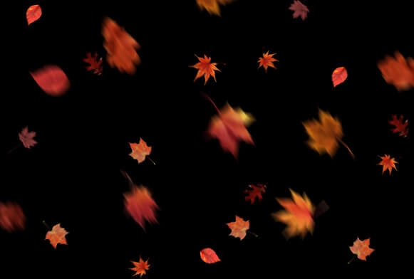 Autumn PS Overlays Photo Overlays PNG Falling Leaves Autumn Leaves Photoshop Overlays - Autumn Background