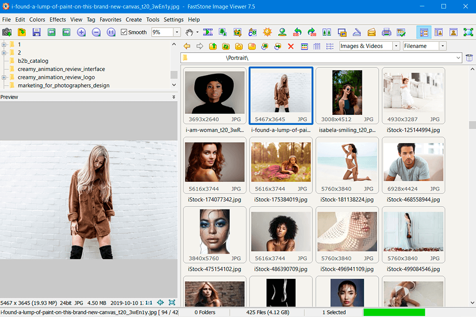 faststone interfaz de software de catálogo de fotos