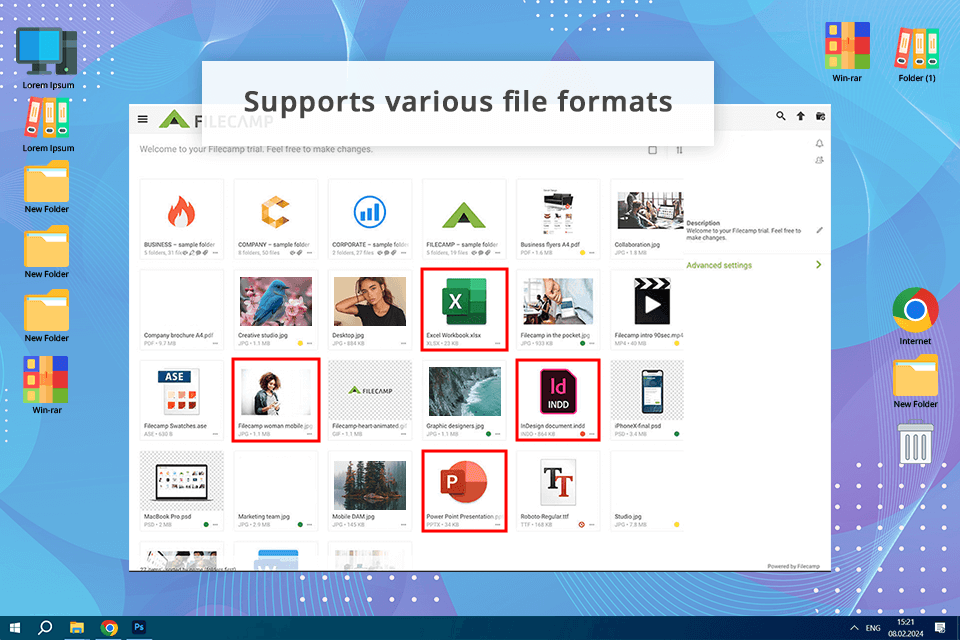 filecamp digital asset management software for photographers