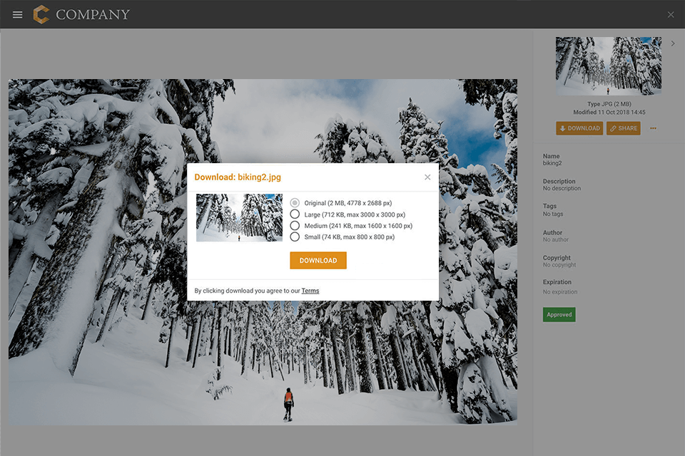 filecamp download feature