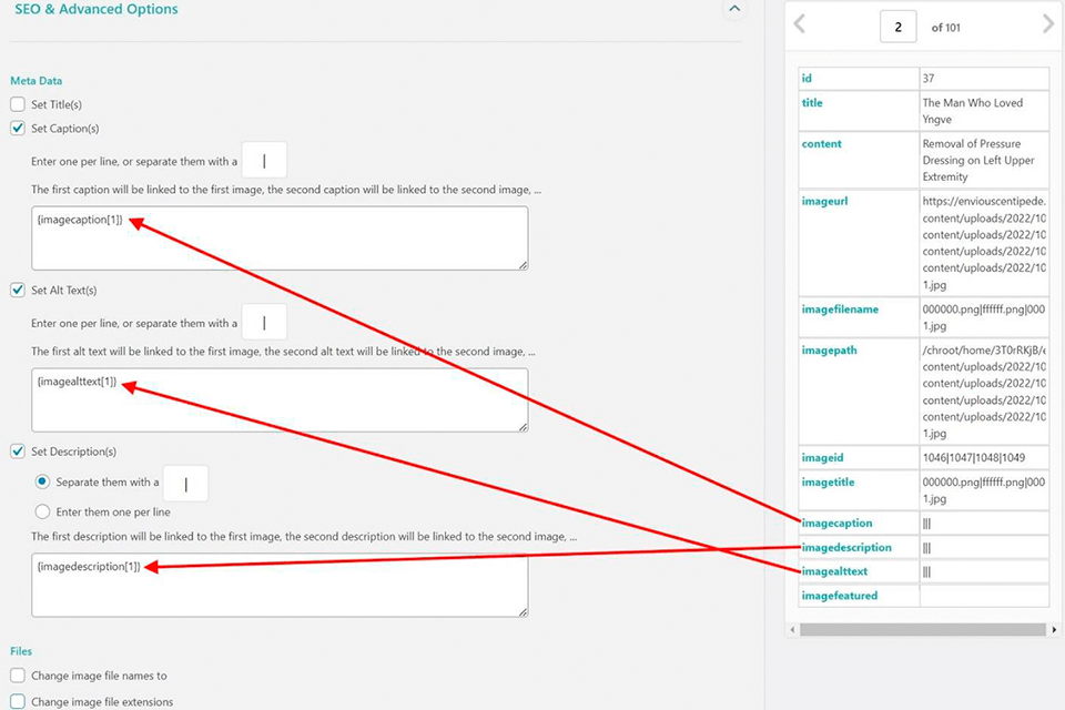 fill in fields to import images in wordpress