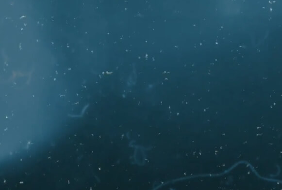 elokuva grain overlay video