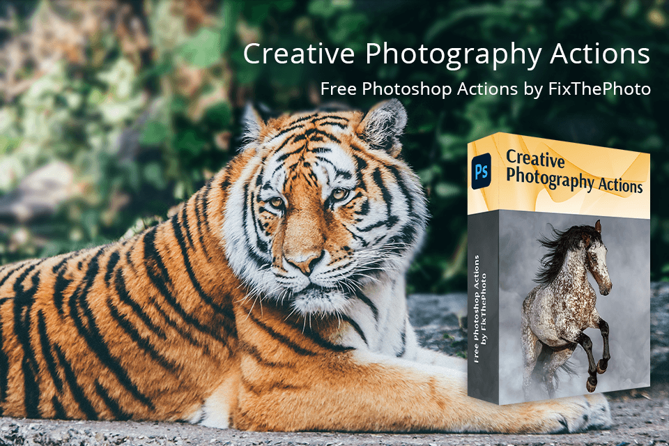 fixthephoto actions collection