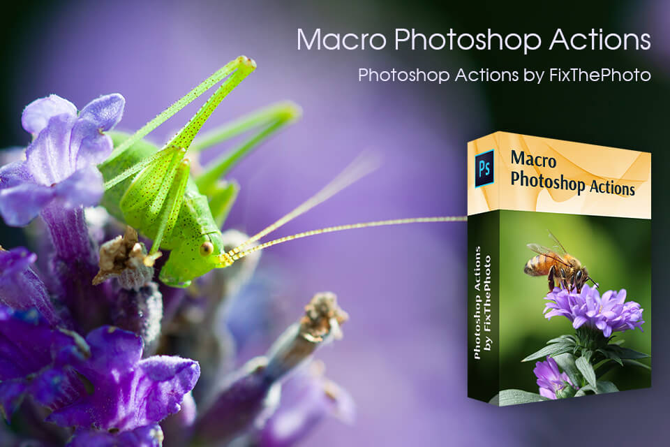 fixthephoto entire photoshop actions collection