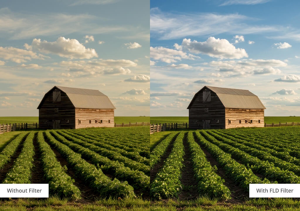 fld lens filter before after comparison
