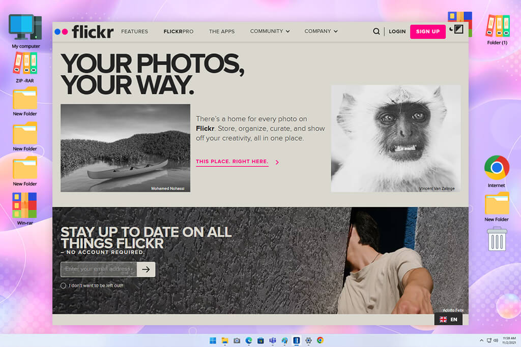 flickr vecteezy alternative