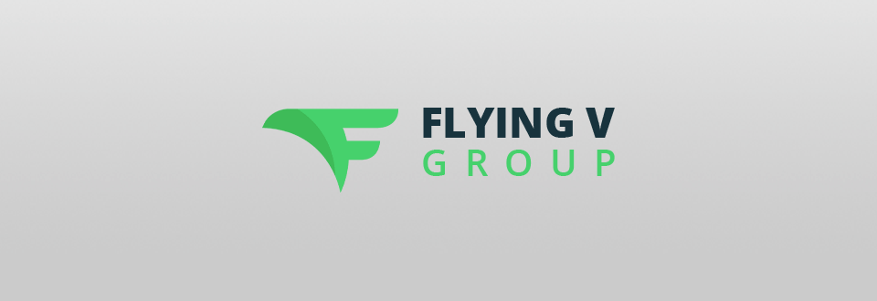 flying v group logo