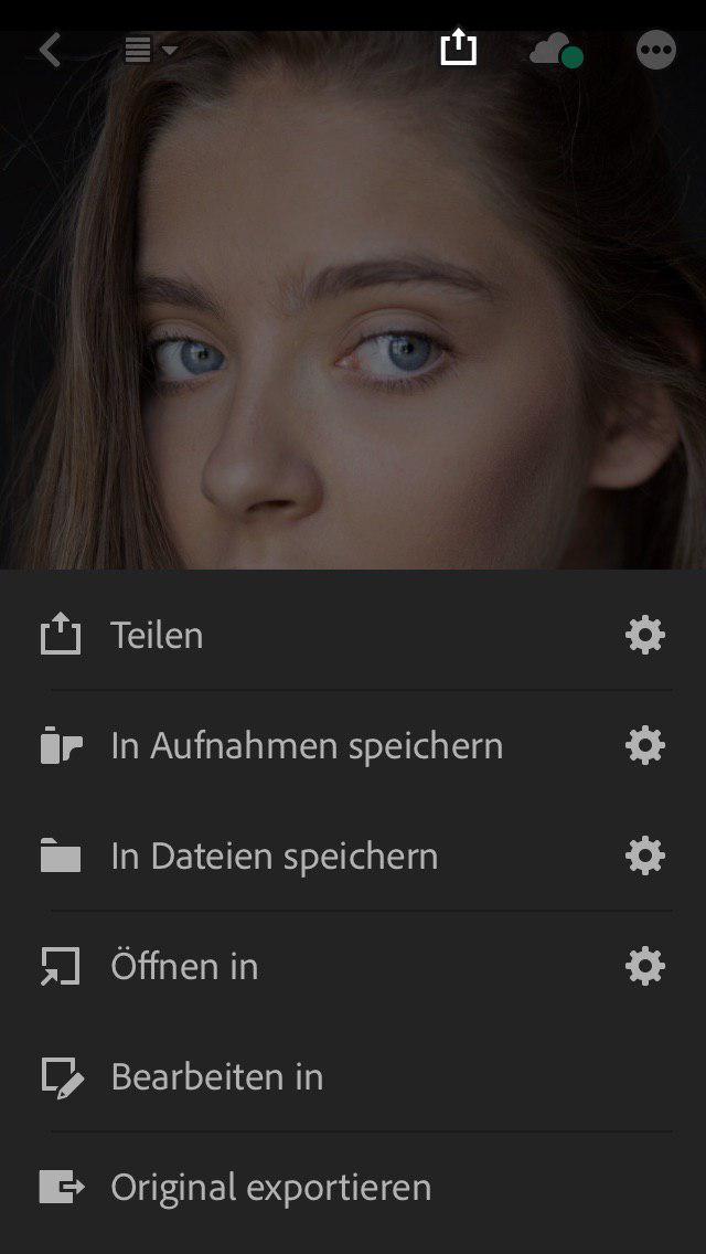 fotos mit anderen teilen mobilen lightroom version