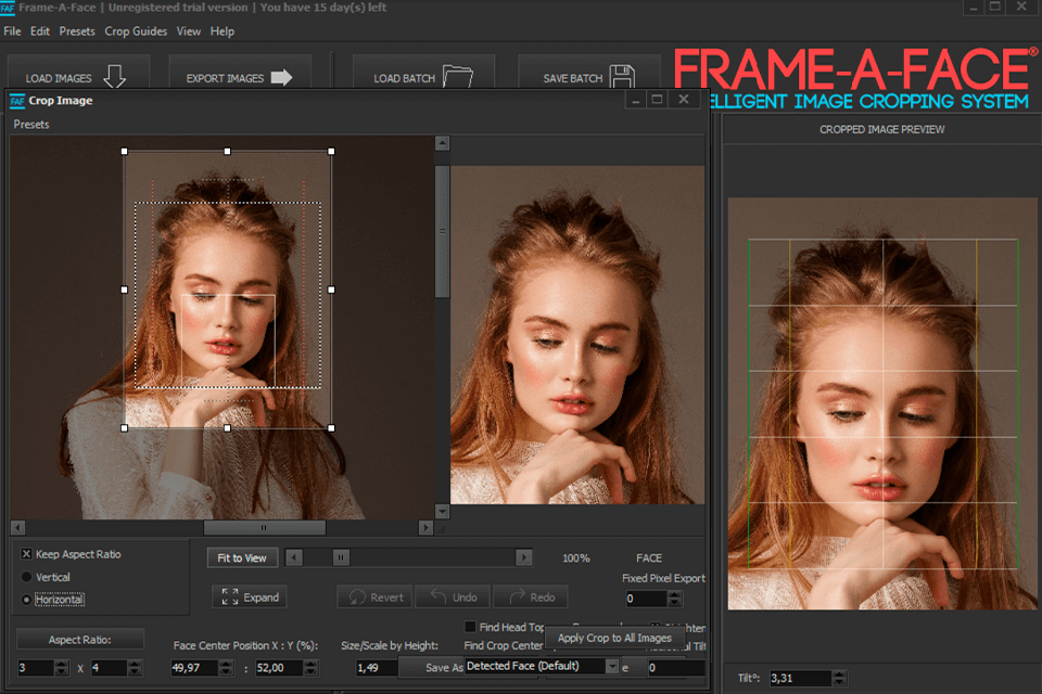 frame-a-face software individual adjustments