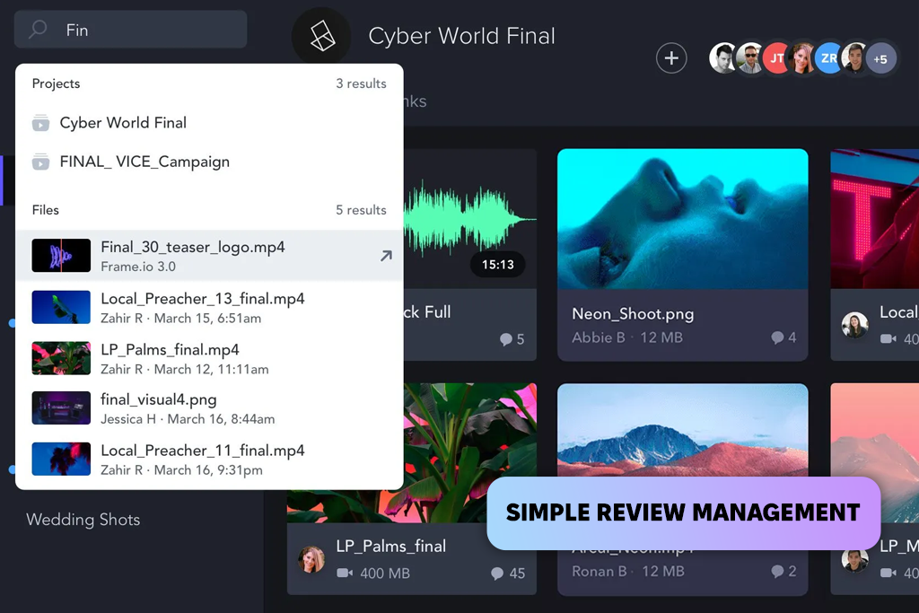 frame io review management interface