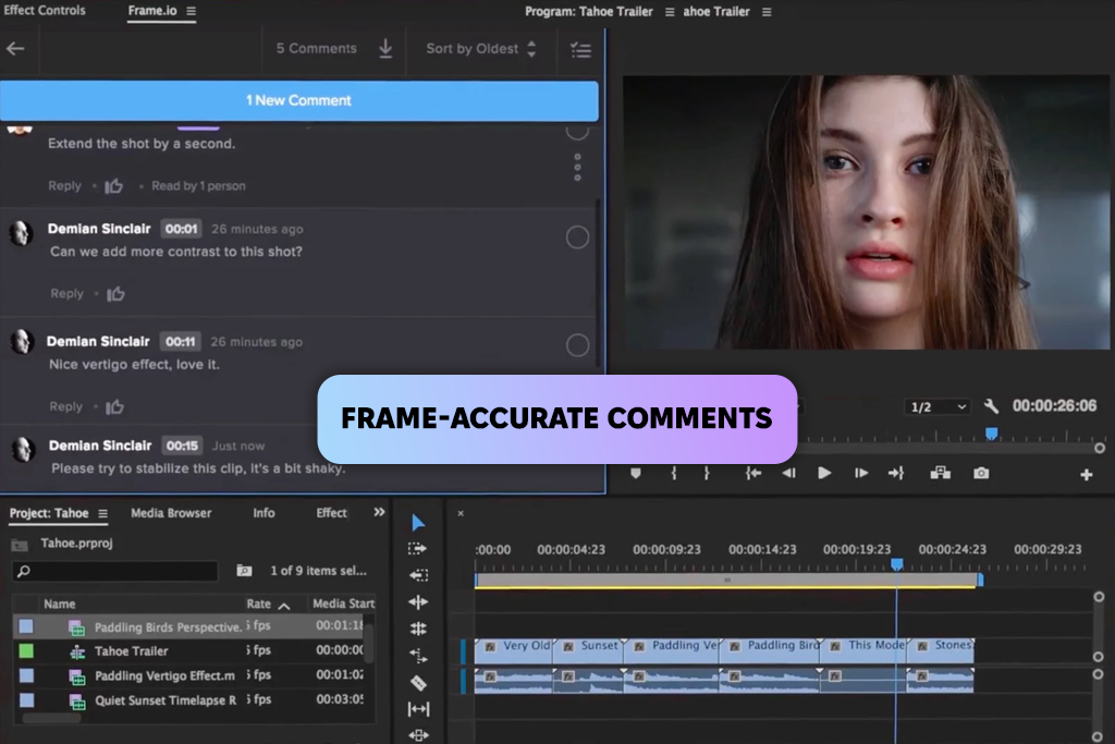 frame io video feedback