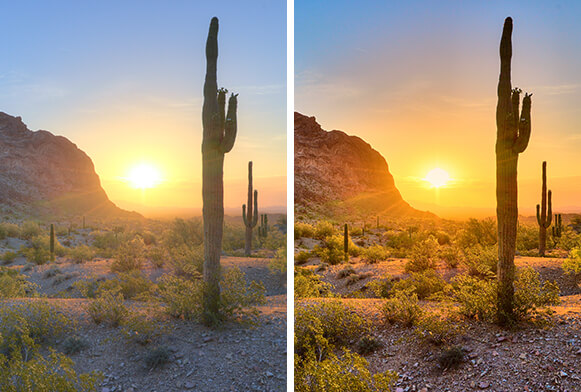 Gratis optag landskab i én stil