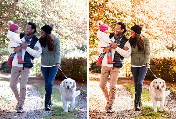 Preset Lightroom in caduta libera