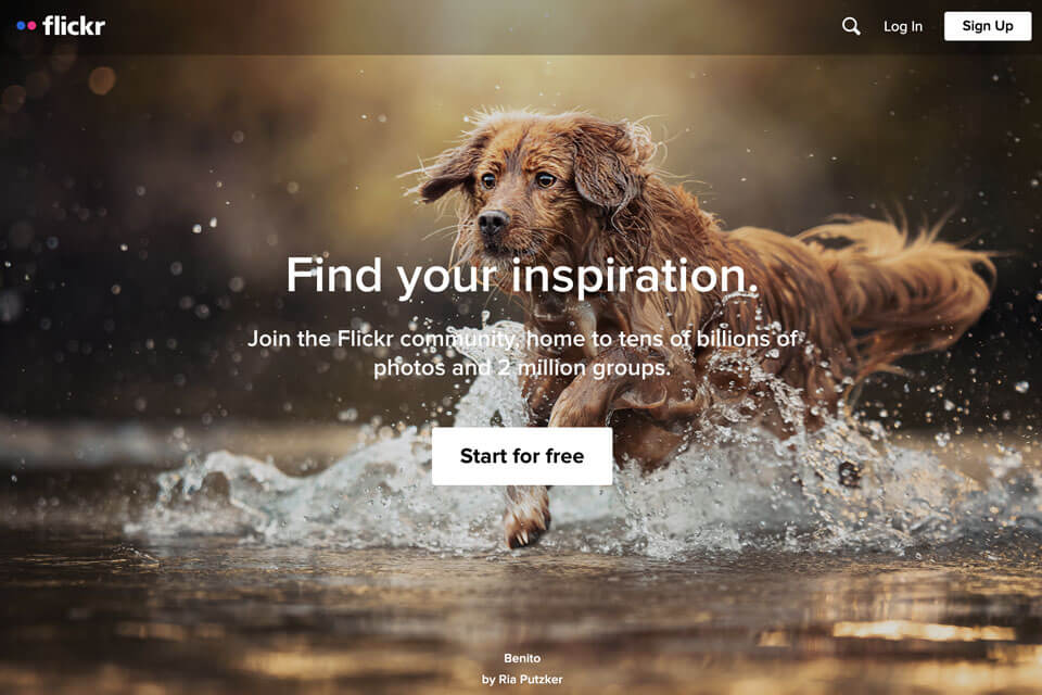 free image hosting flickr