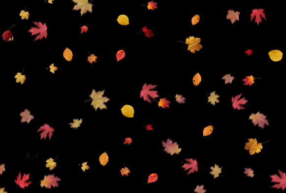 leaf overlay for photoshop download free