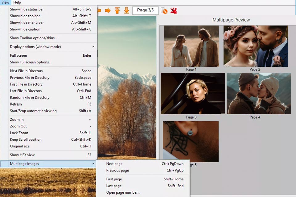 irfanview free lightroom alternative interface