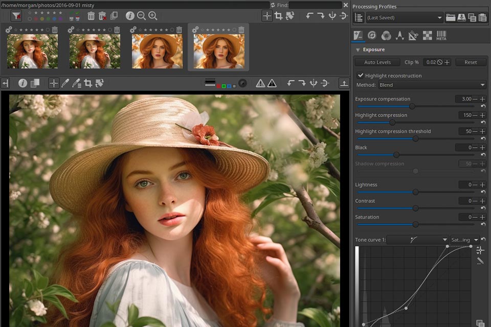 rawtherapee free lightroom alternative interface