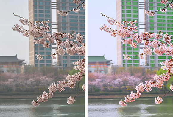 ฟรี luts iphone