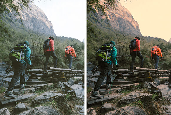 gratis luts premiere pro