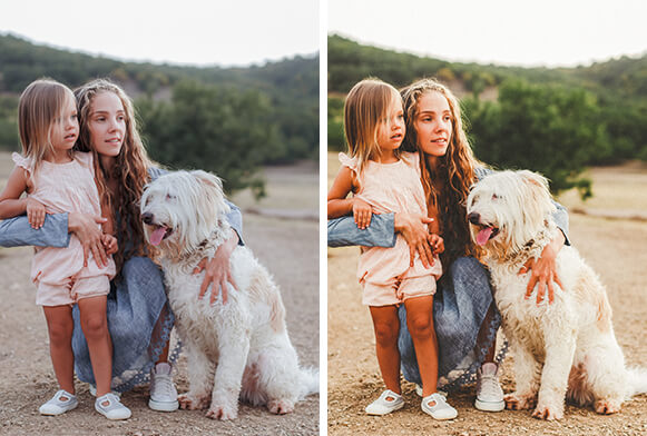 free moody lightroom presets