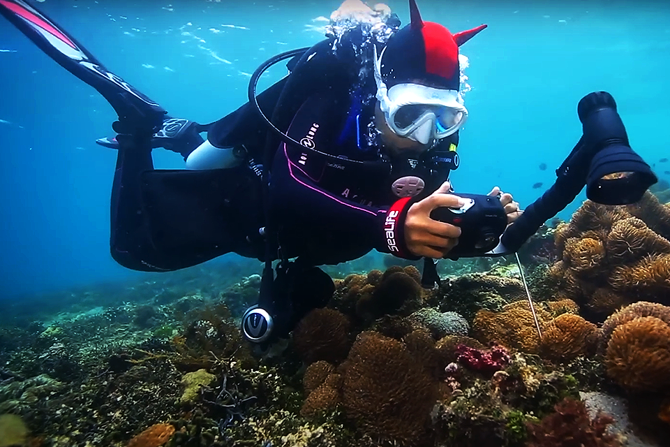 free online photo courses