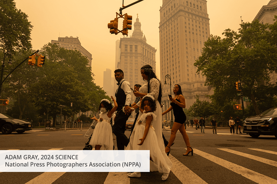 free photography associations national press photographers association