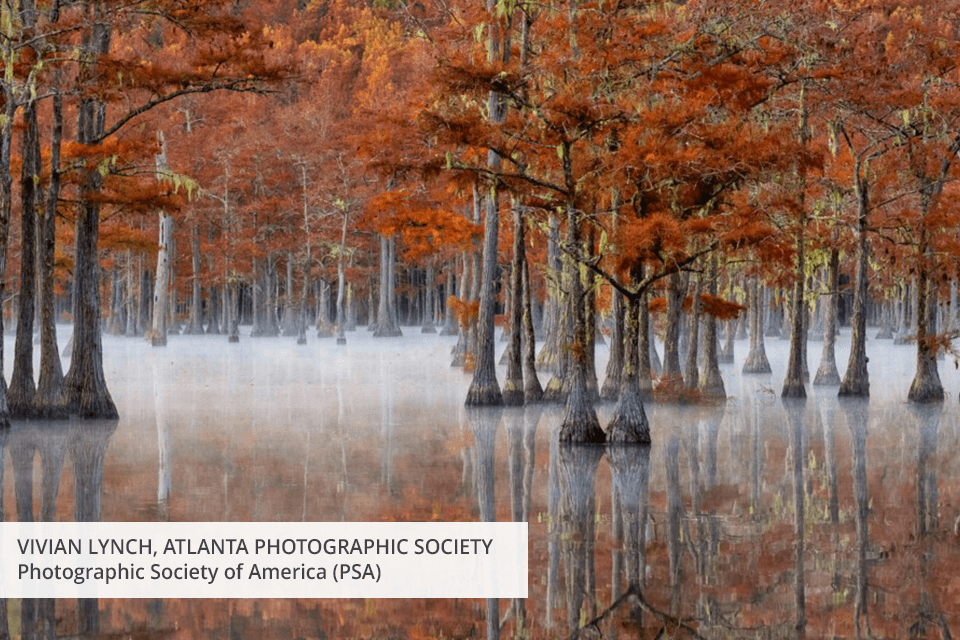 free photography associations photographic society of america