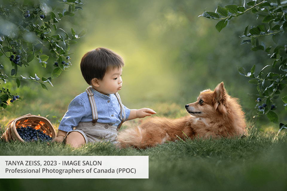 free photography associations professional photographers of canada