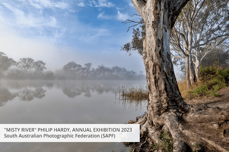 free photography associations south australian photographic federation
