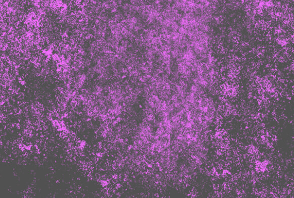 pennello grunge photoshop gratis