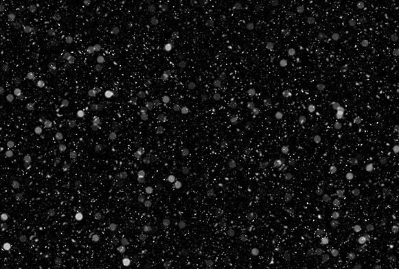 snow overlay photoshop free download