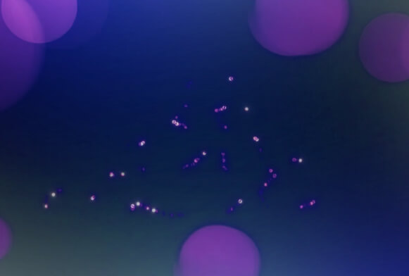 gratis sparkle overlay video